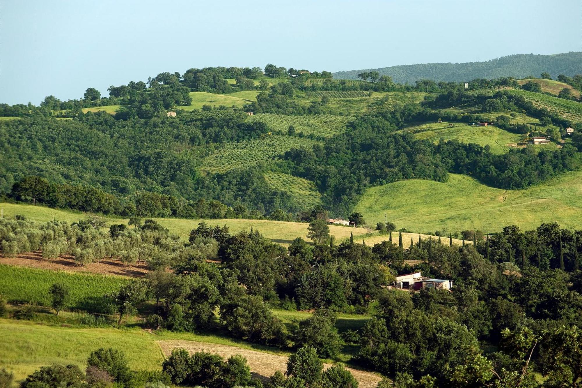 Saturnia Tuscany Country House Kültér fotó